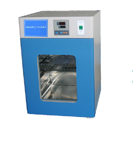 (MS-LD15) Incubateur thermostatique électrothermique intelligent contrôlé par microprocesseur