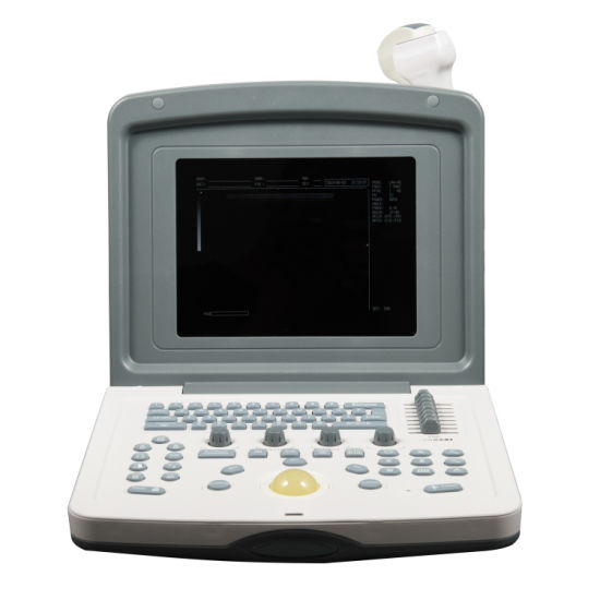 (MS-P800V) Scanner numérique à ultrasons pour ordinateur portable médical avec plus de sondes vétérinaires
